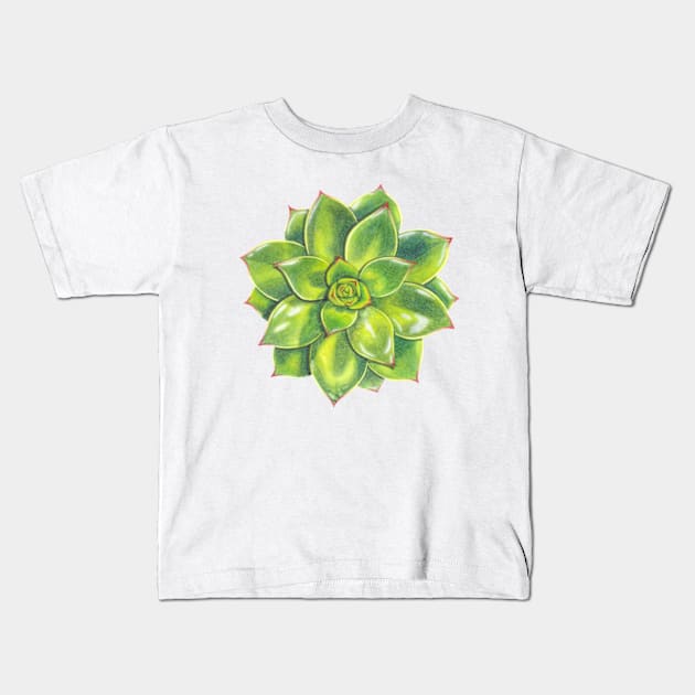 Delicious Succulent Flowers Kids T-Shirt by PatriciaSheaArt